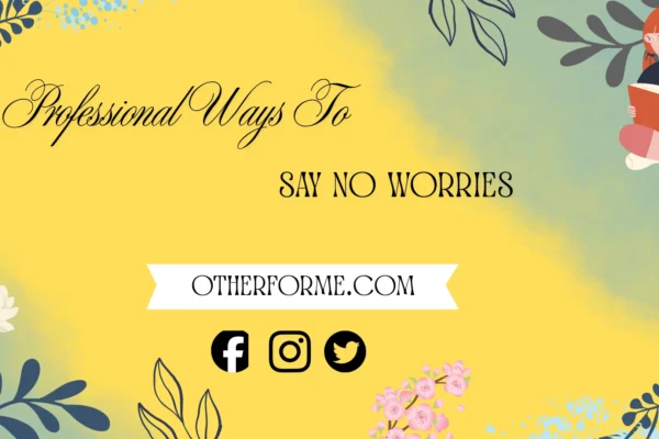 professional ways to say no worries