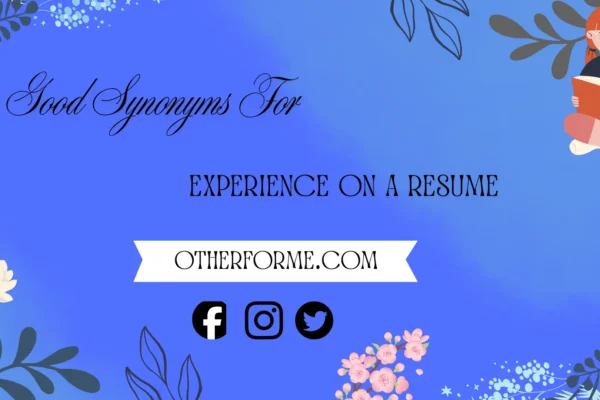 Good synonyms for experience on a resume
