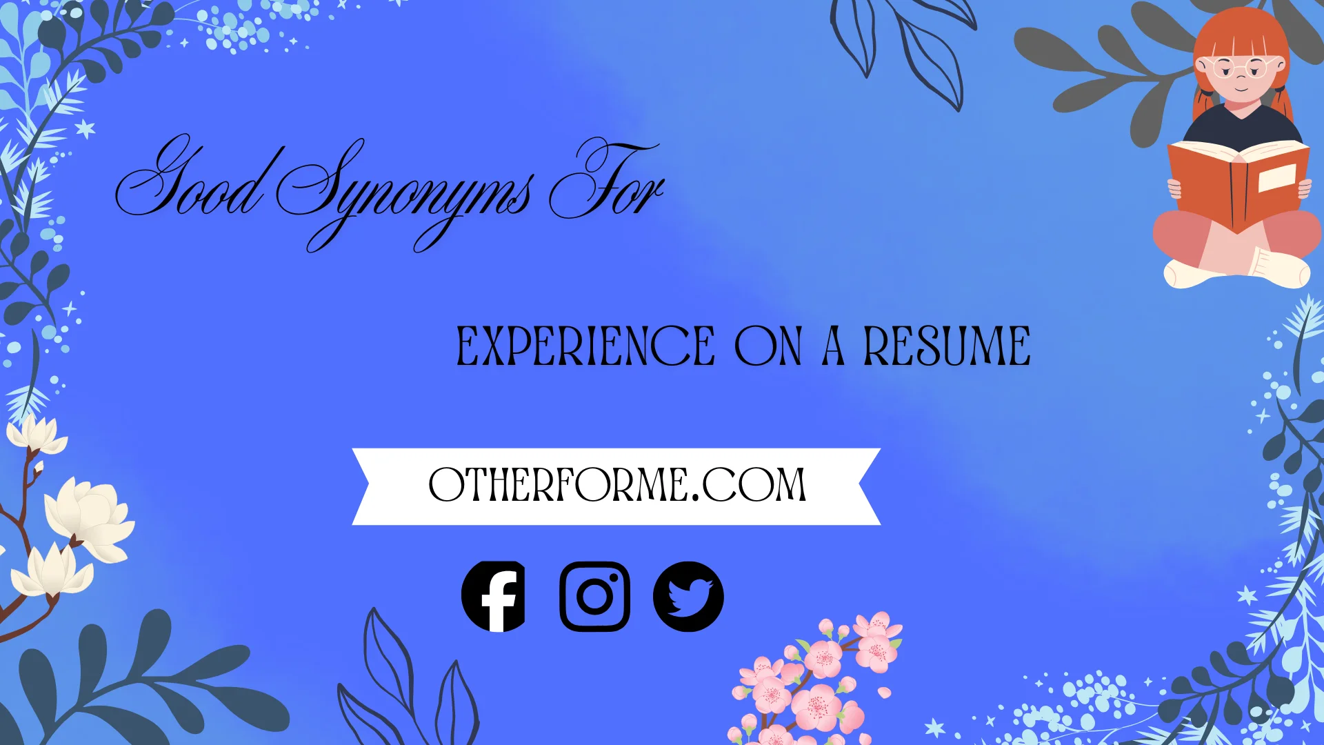 Good synonyms for experience on a resume