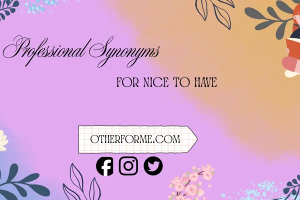 professional synonyms for nice to have