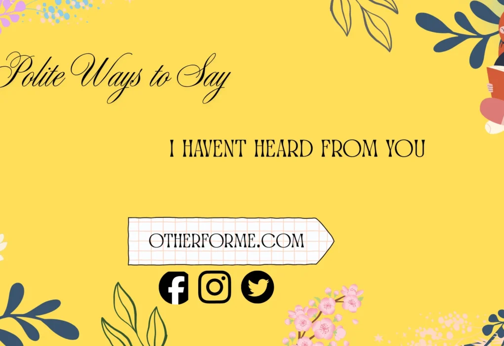 polite ways to say i havent heard from you