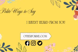polite ways to say i havent heard from you