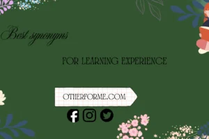 Synonyms for Learning Experience