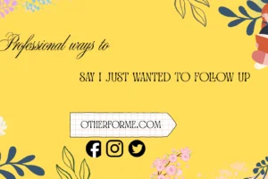 professional ways to say I just wanted to follow up