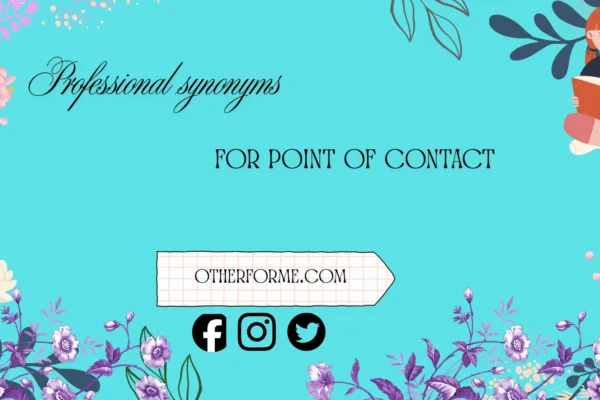 professional synonyms for point of contact