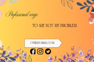 professional ways to say not my problem