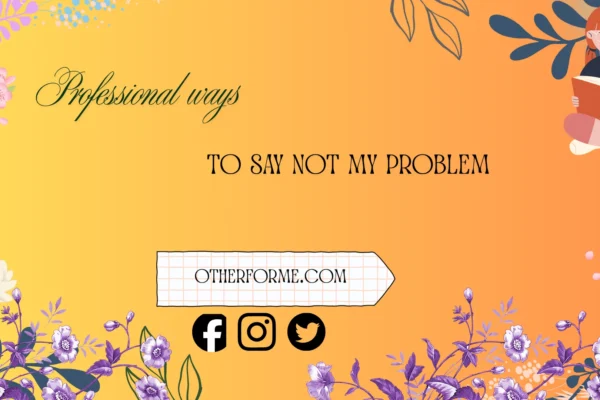professional ways to say not my problem