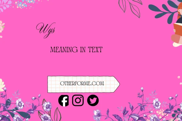 wys meaning in text