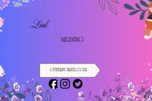 lmk meaning in text
