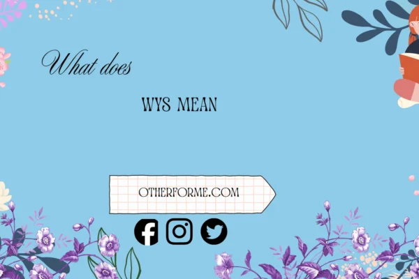 what does wys mean in text