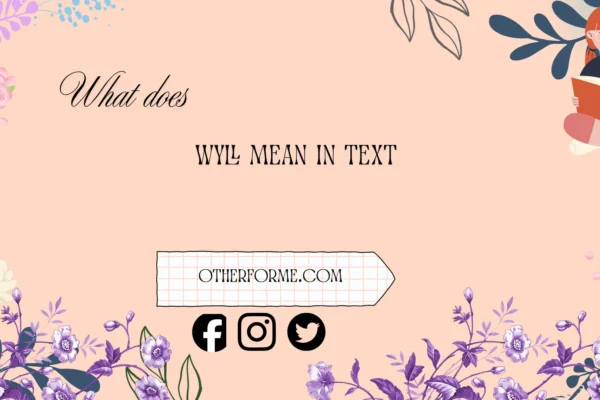 what do wyll mean in text
