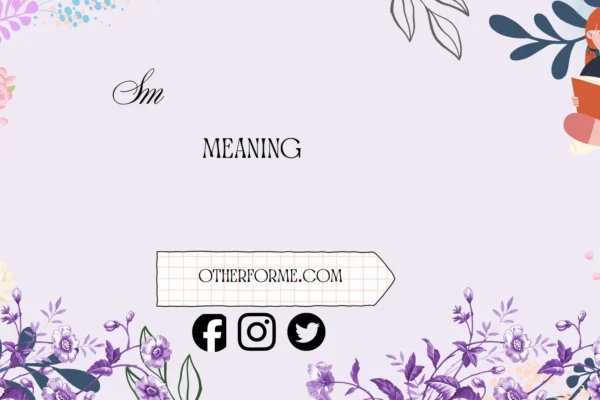 sm meaning