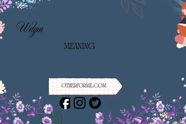 wdym meaning
