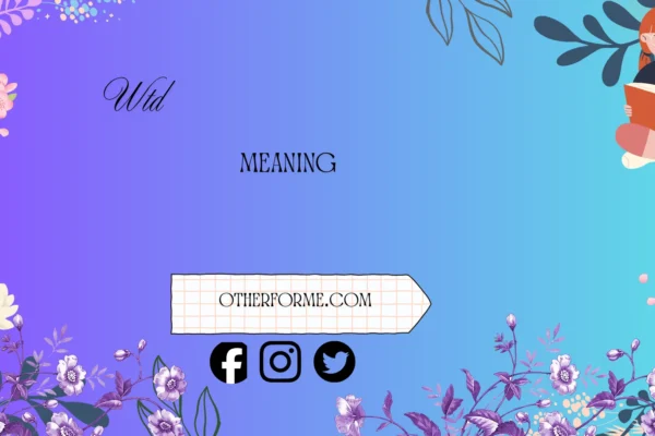 wtd meaning