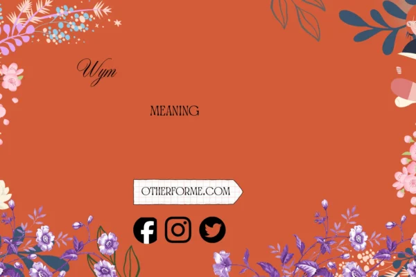 wym meaning