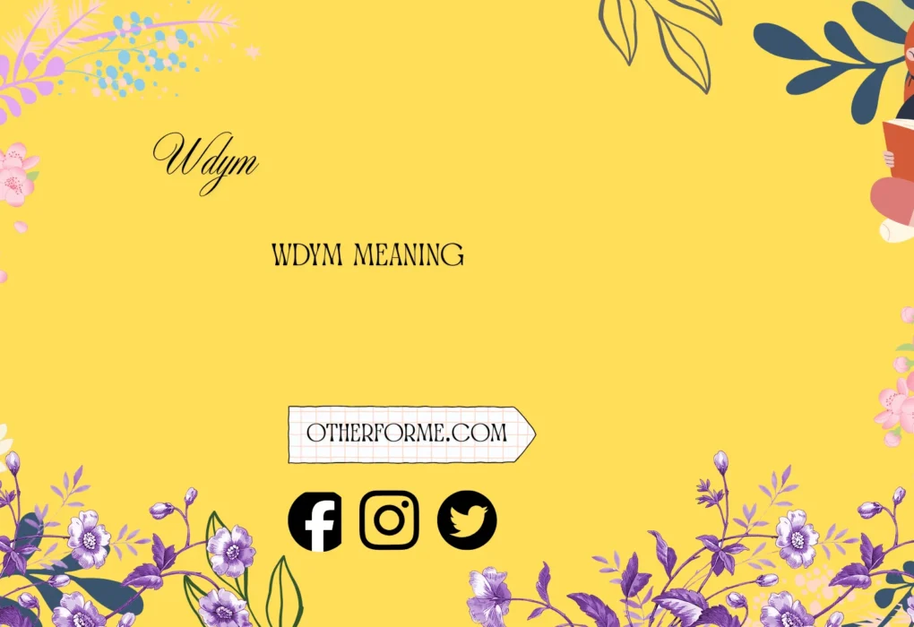 wdym meaning