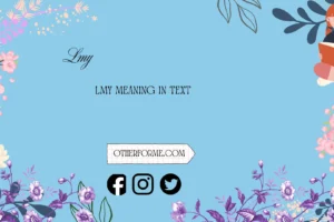 lmy meaning in text