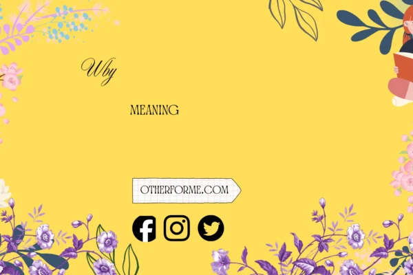 wby meaning