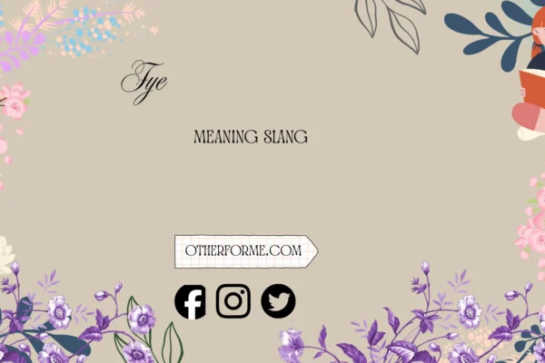 fye meaning slang