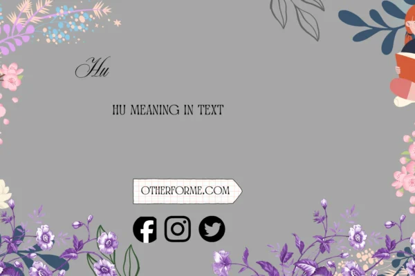 hu meaning in text