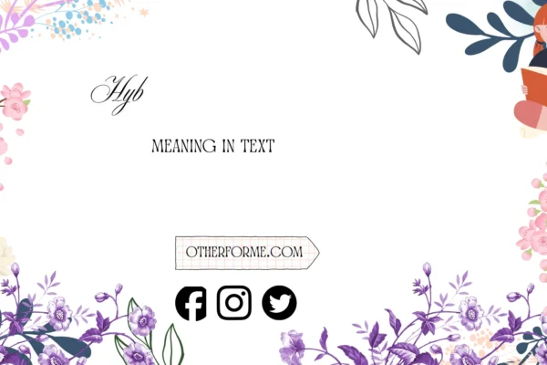 hyb meaning in text
