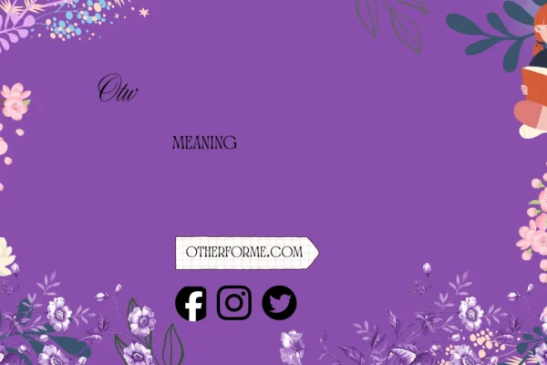 otw meaning