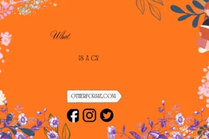what is a cv