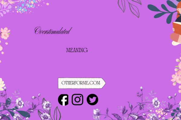 overstimulated meaning