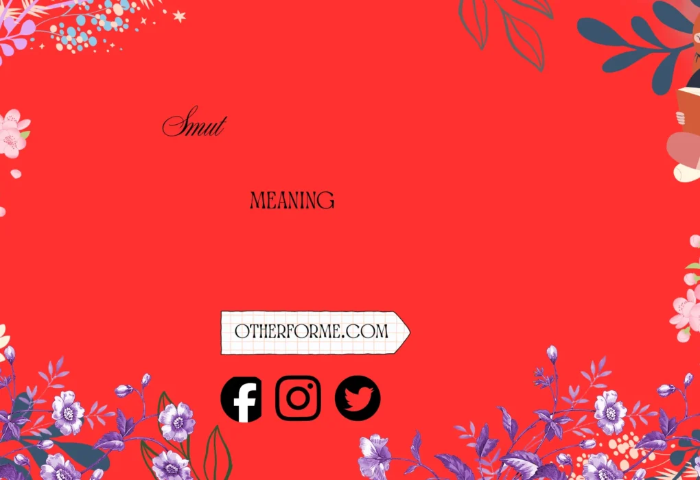 smut meaning