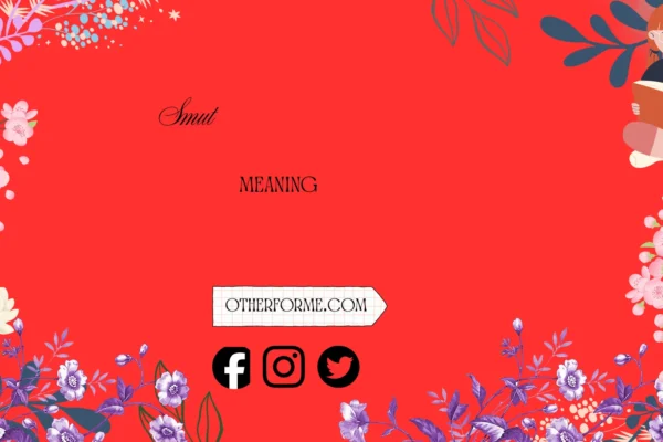 smut meaning
