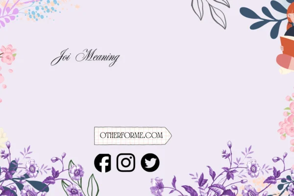 joi meaning