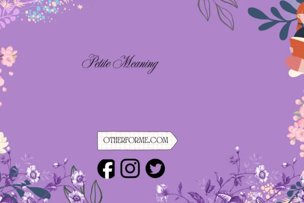 petite meaning