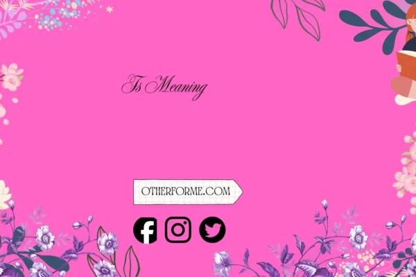 fs meaning