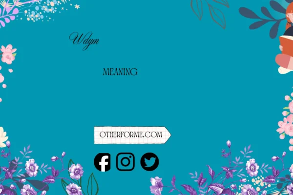 wdym meaning