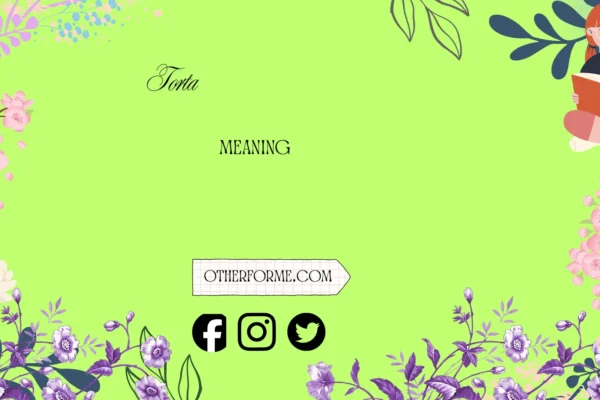 torta meaning