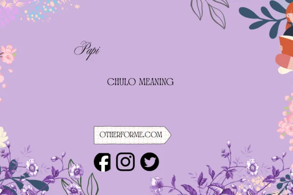 papi chulo meaning
