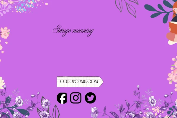 Gringo Meaning