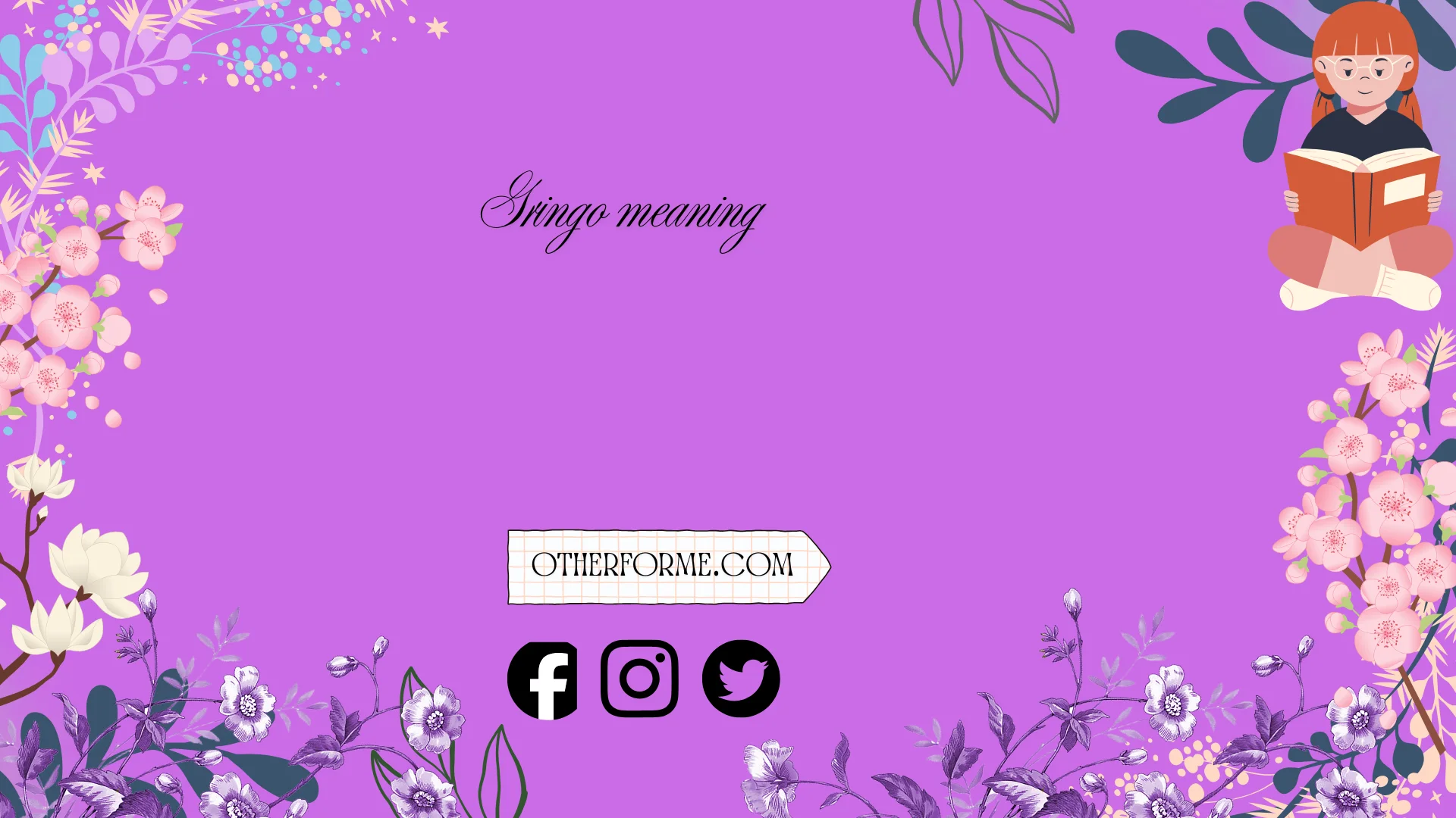 Gringo Meaning
