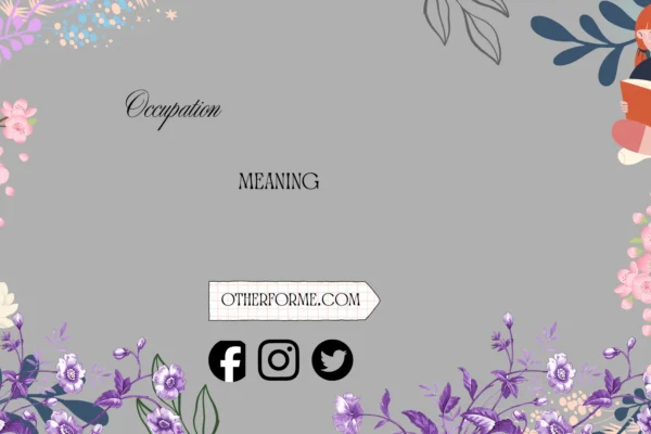occupation meaning