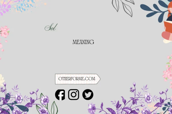 sol meaning