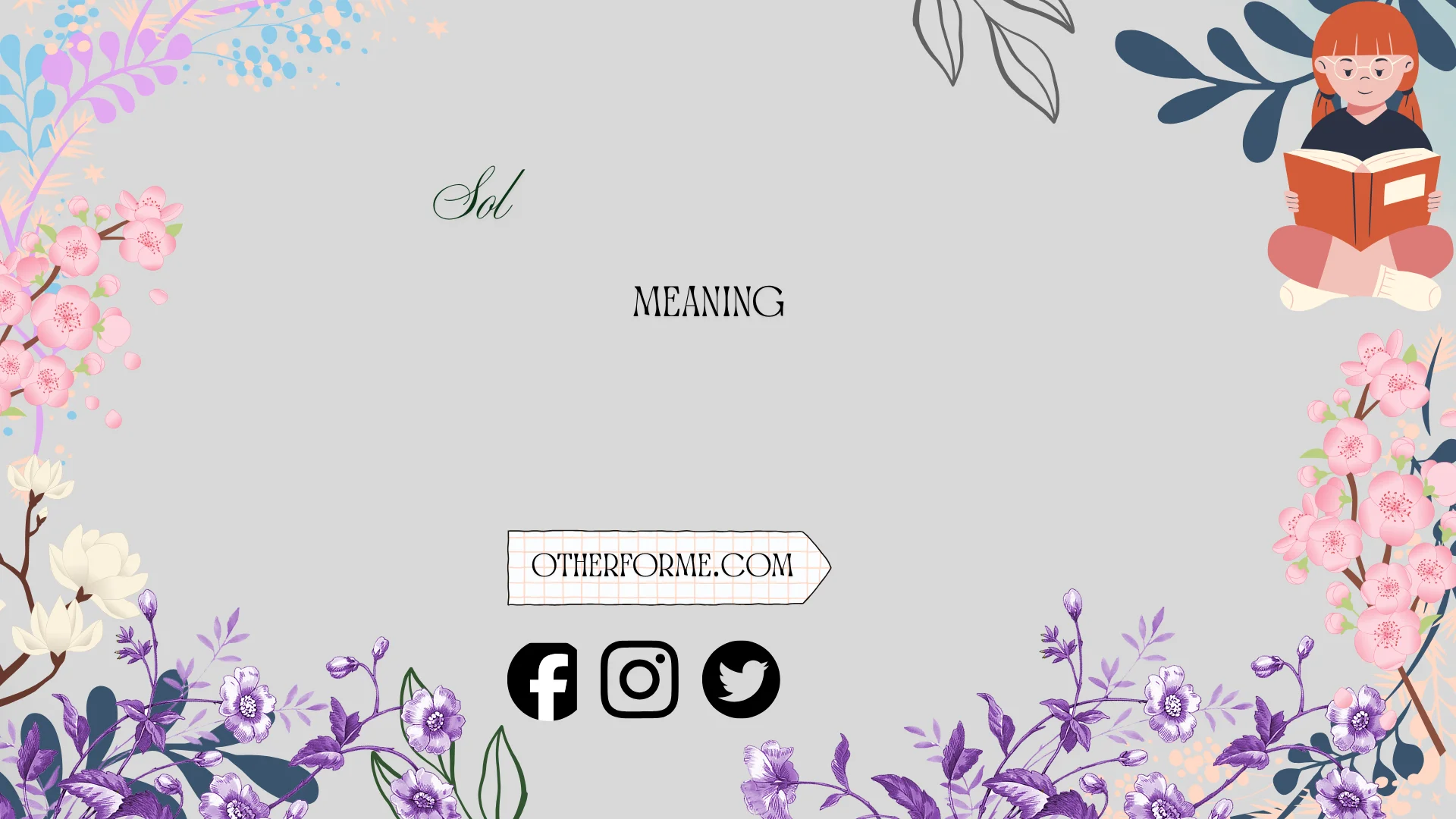 sol meaning