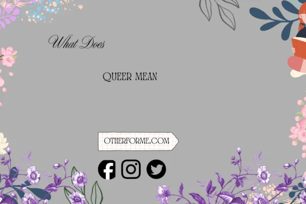 what does queer mean