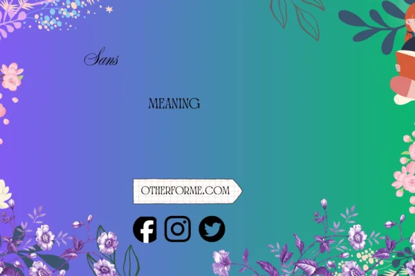 sans meaning