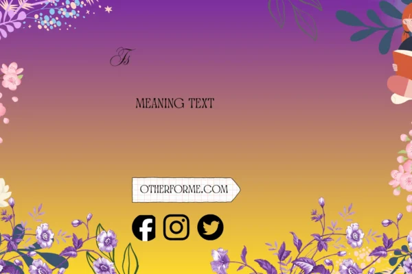 fs meaning text
