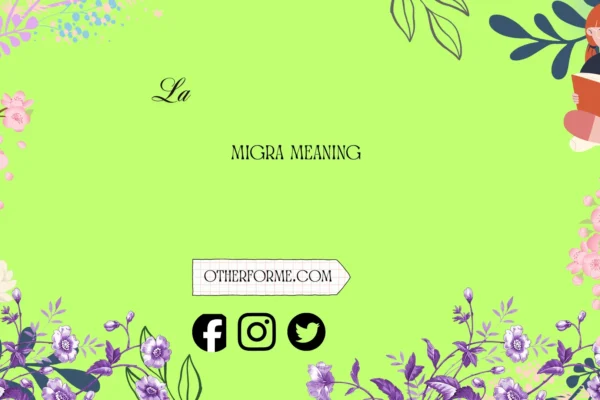 la migra meaning