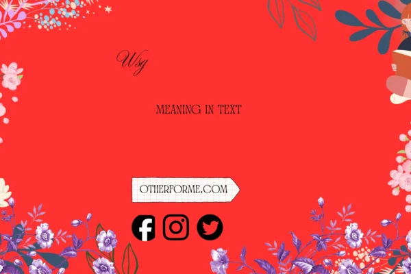 wsg meaning in text